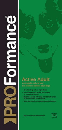 Active Adult